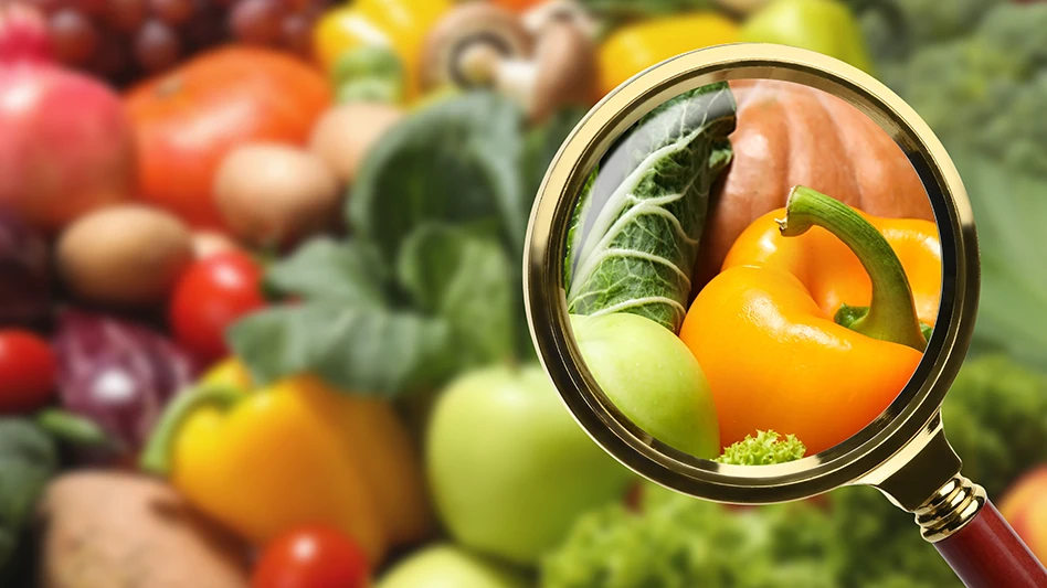 Food Safety
